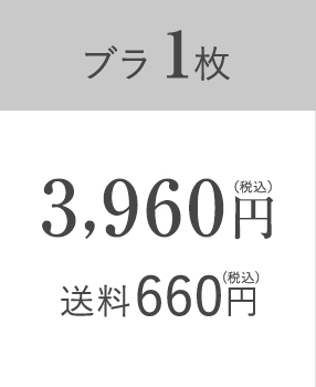 ブラ1枚セット:3,960円(税込)送料660円(税込)