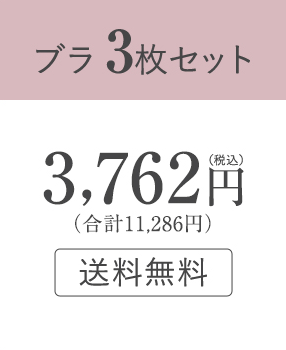 ブラ3枚セット:3,762円(税込)(合計11,286円)送料無料