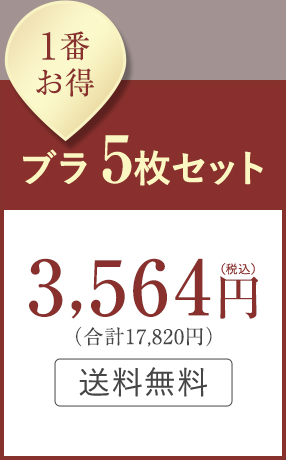 1番お得 ブラ5枚セット:3,564円(税込)(合計17,820円)送料無料